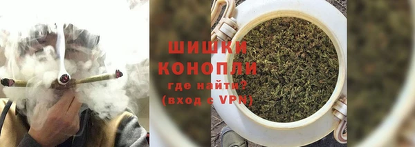 PSILOCYBIN Лихославль