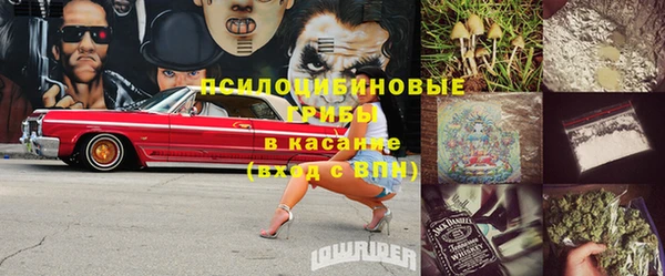 ПСИЛОЦИБИНОВЫЕ ГРИБЫ Лиски