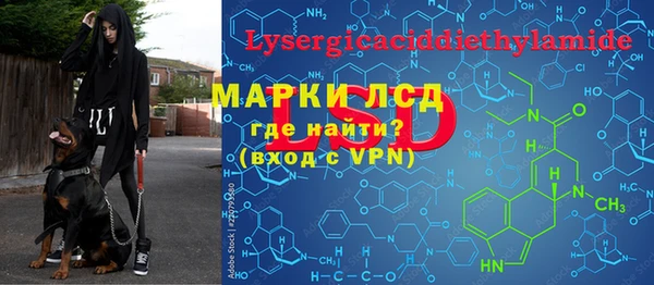 ПСИЛОЦИБИНОВЫЕ ГРИБЫ Лиски