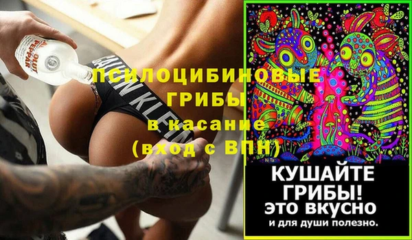 ПСИЛОЦИБИНОВЫЕ ГРИБЫ Лиски