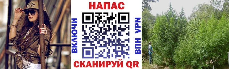 Купить закладки  Пермь  Каннабис ГИДРОПОН 